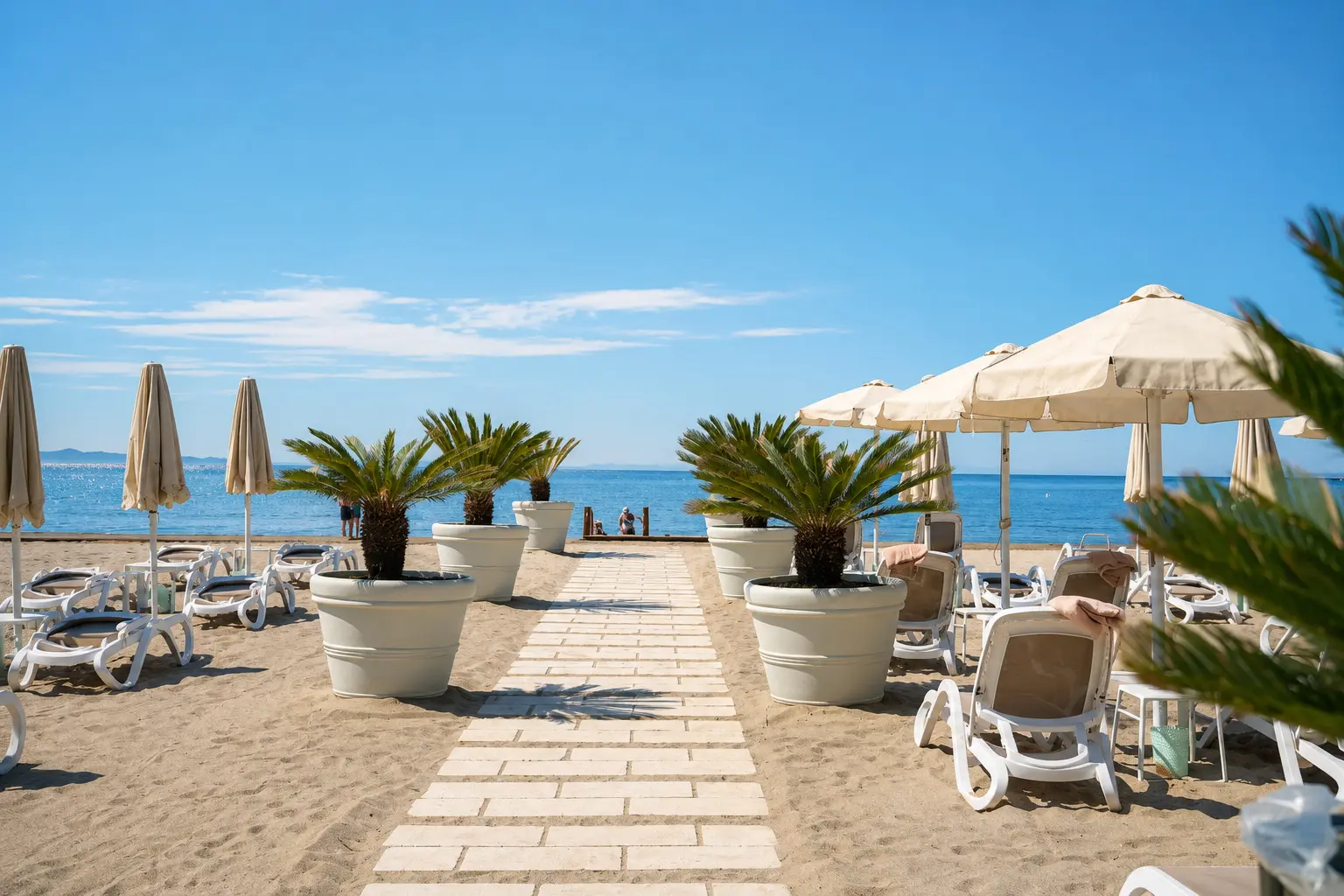 The beach directly in front of the building, with umbrellas and palms